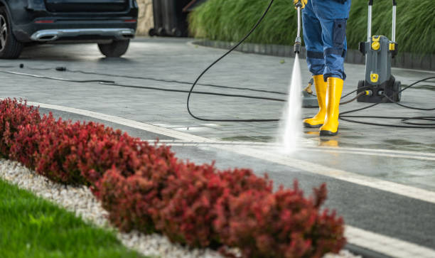 Best Building Exterior Washing  in Orchard City, CO